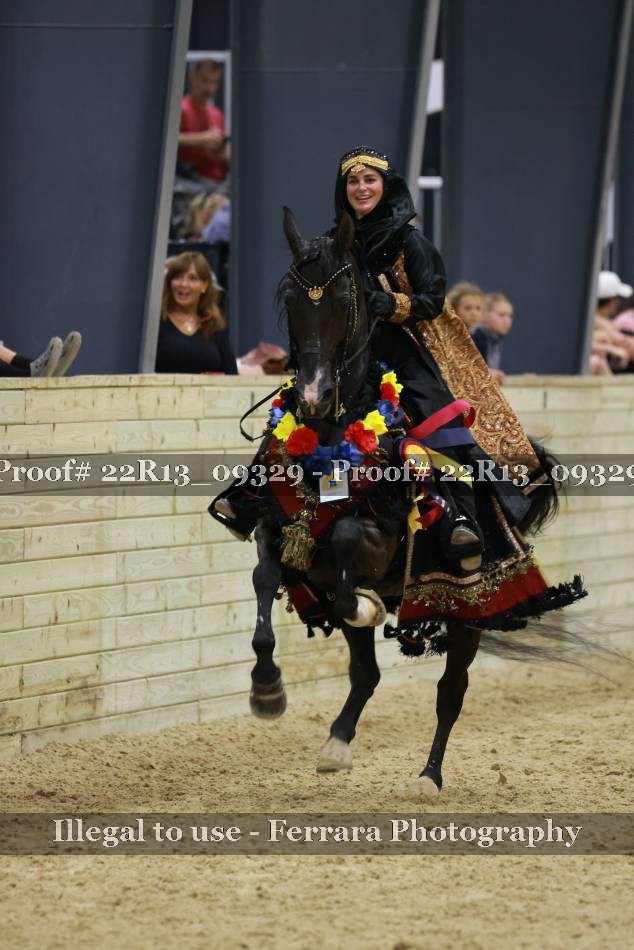 Proof 22R13_09329