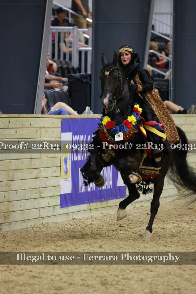 Proof 22R13_09332