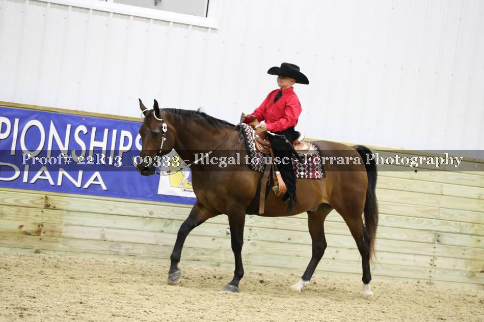 Proof 22R13_09333