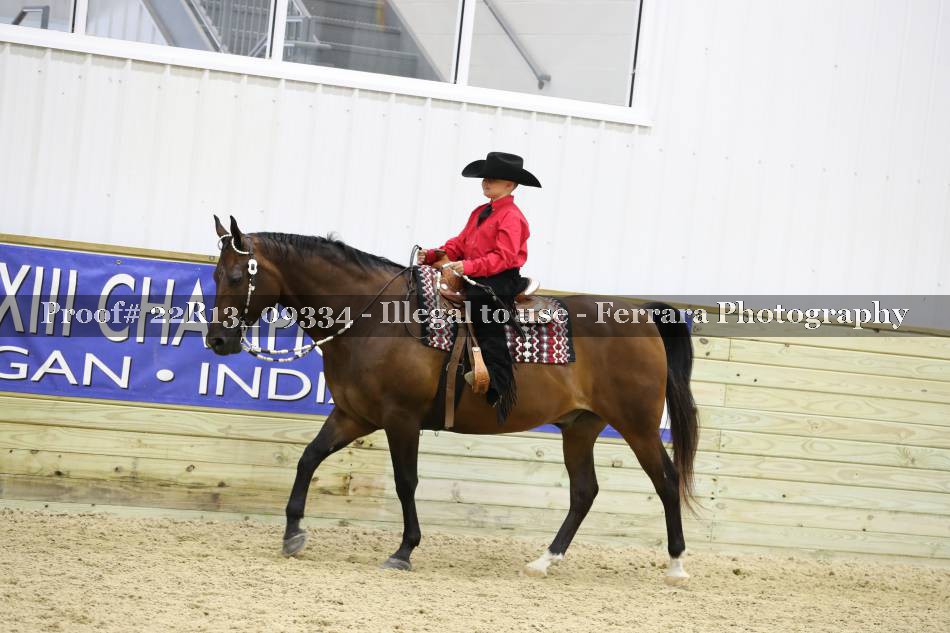 Proof 22R13_09334