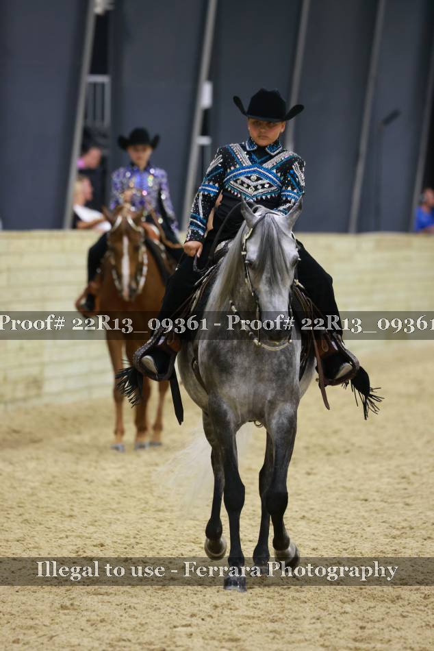 Proof 22R13_09361