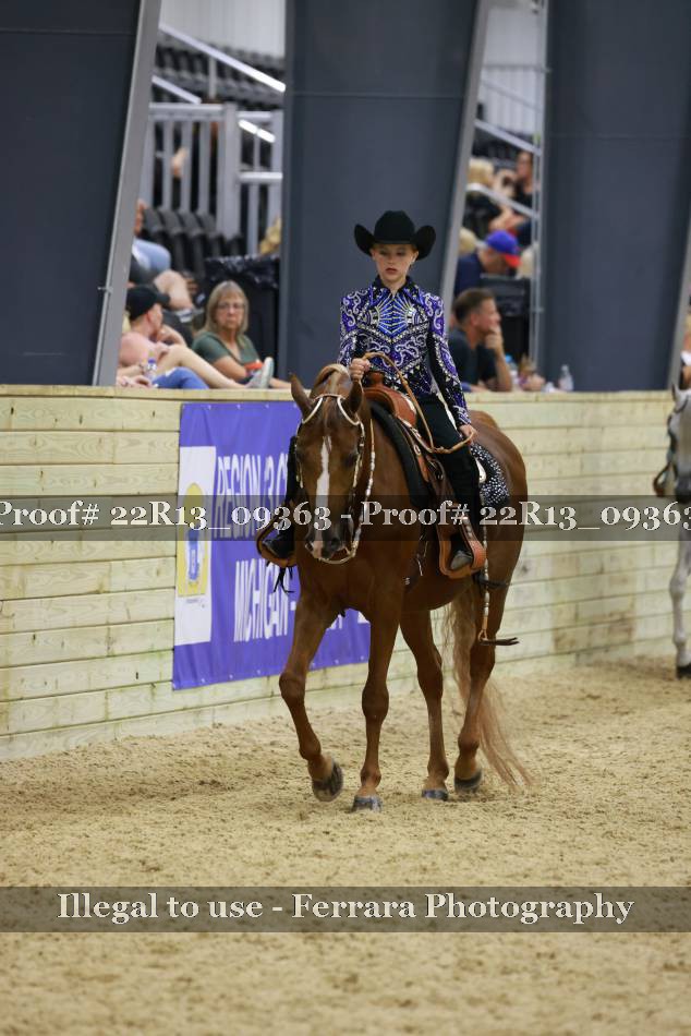 Proof 22R13_09363