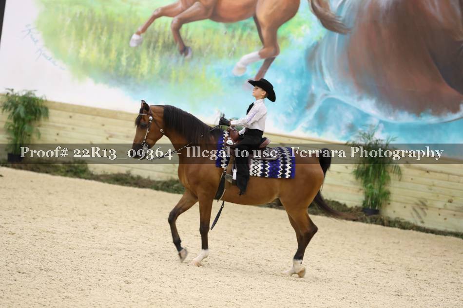 Proof 22R13_09364