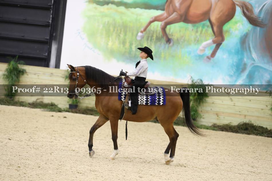 Proof 22R13_09365