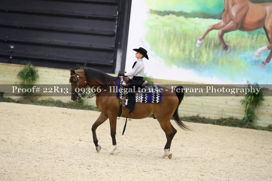 Proof 22R13_09366