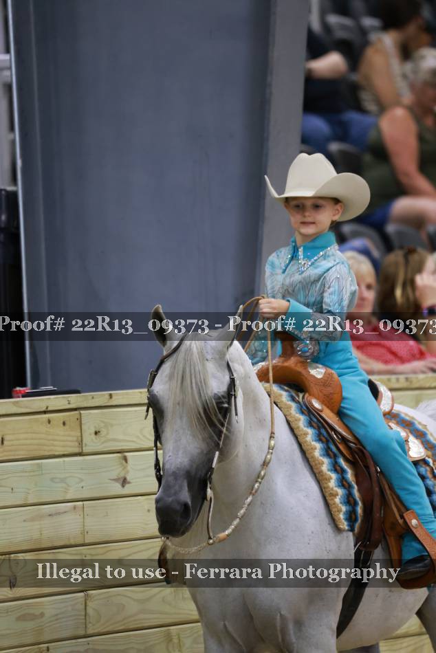 Proof 22R13_09373