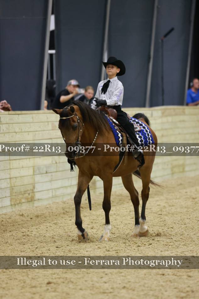 Proof 22R13_09377