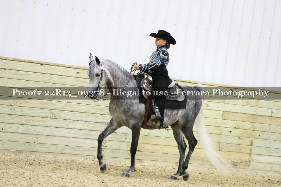 Proof 22R13_09378