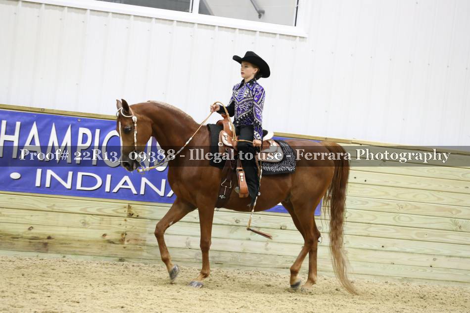 Proof 22R13_09388