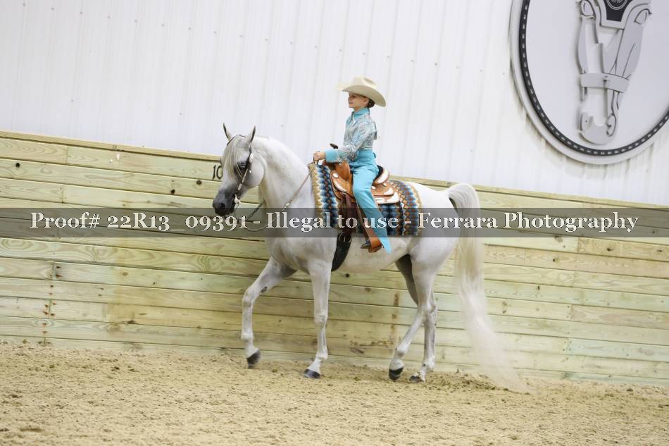 Proof 22R13_09391