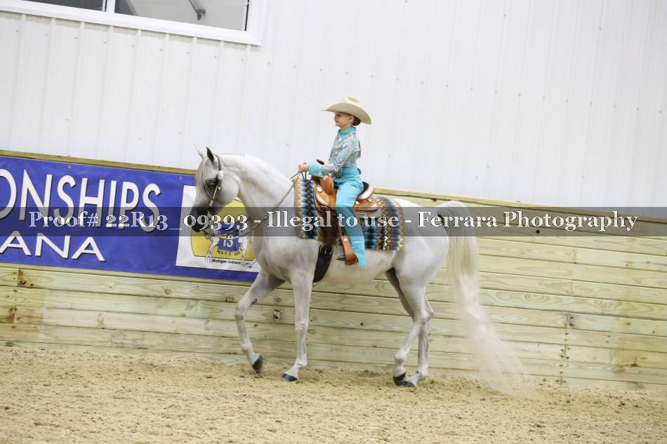 Proof 22R13_09393