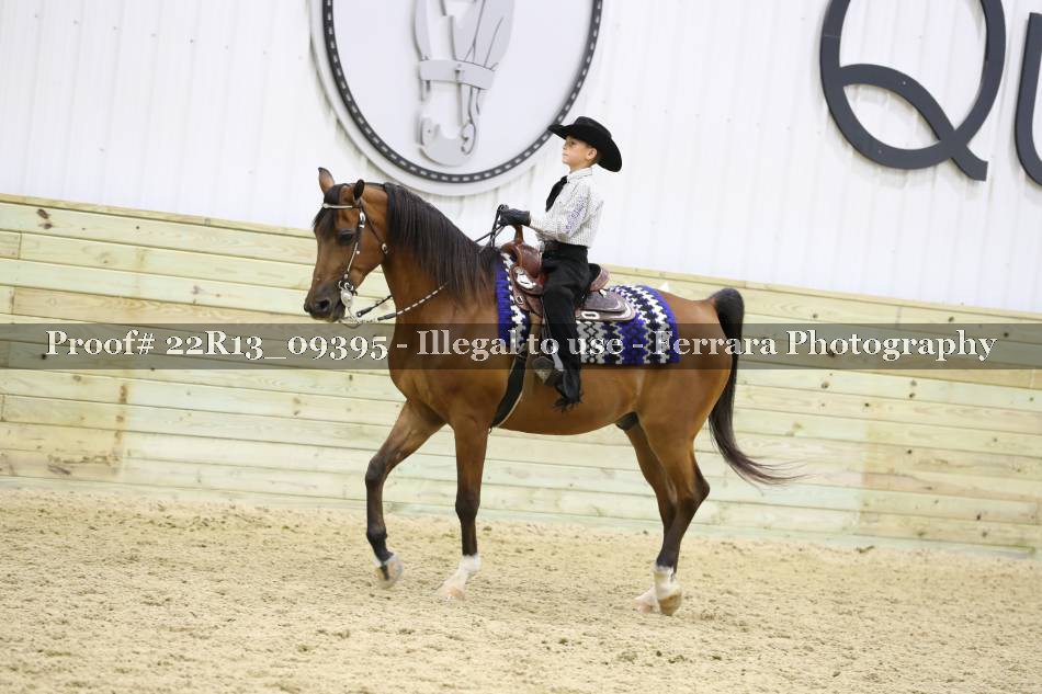 Proof 22R13_09395
