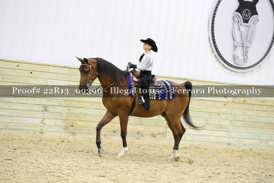 Proof 22R13_09396