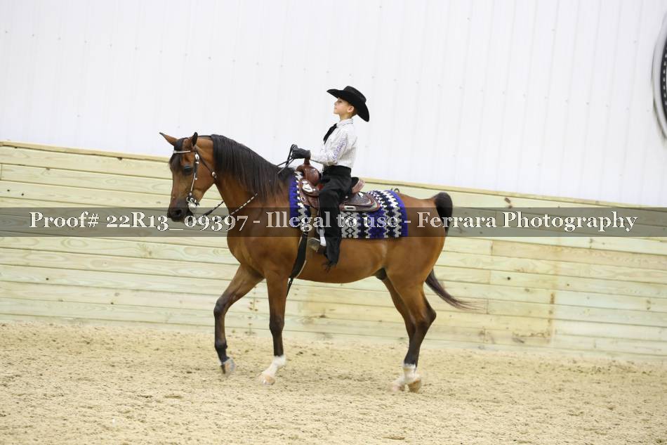 Proof 22R13_09397