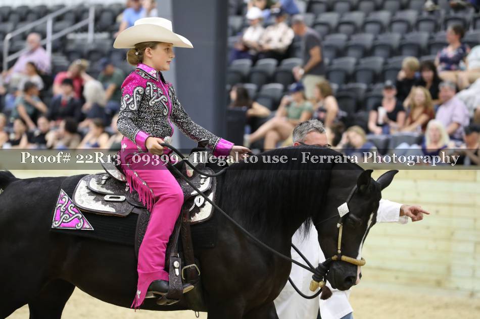 Proof 22R13_09399