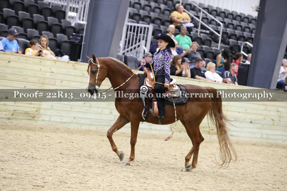 Proof 22R13_09415