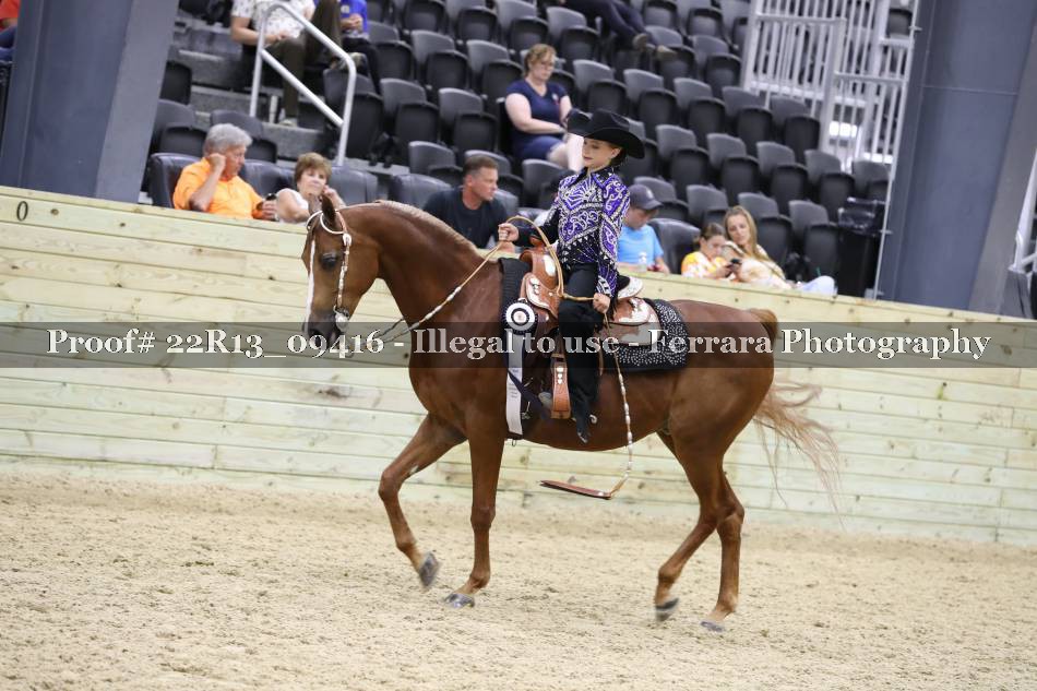 Proof 22R13_09416