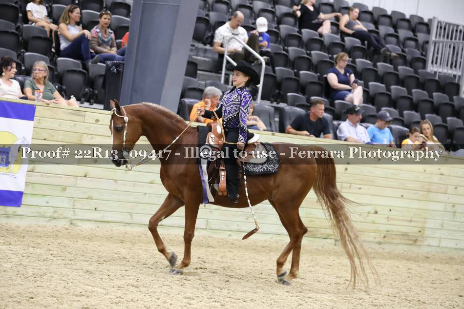 Proof 22R13_09417