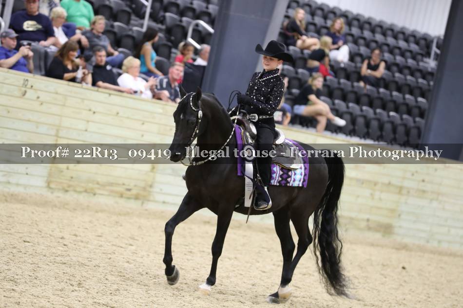 Proof 22R13_09419
