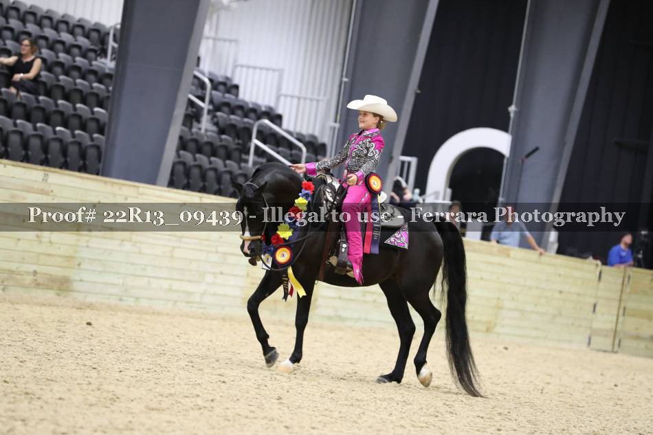 Proof 22R13_09439