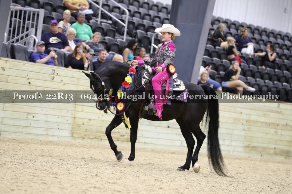 Proof 22R13_09442