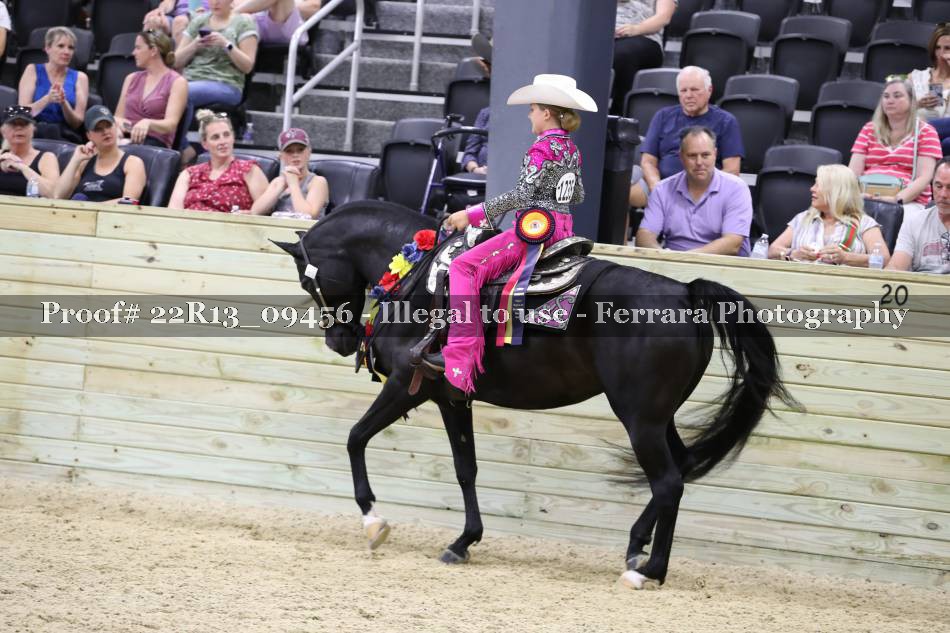Proof 22R13_09456
