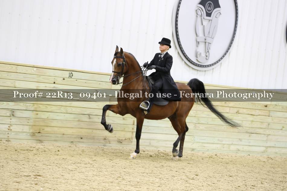 Proof 22R13_09461