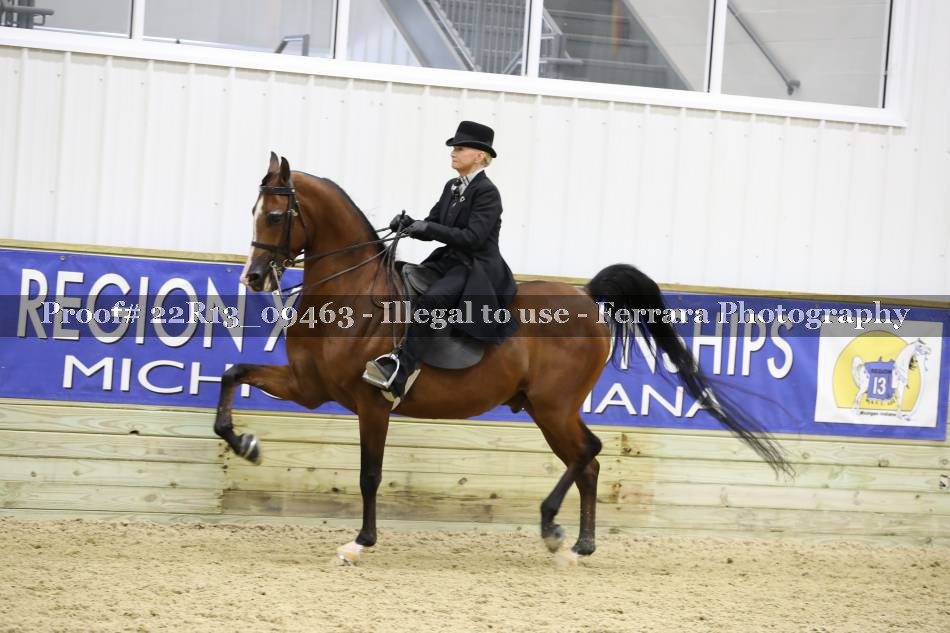 Proof 22R13_09463