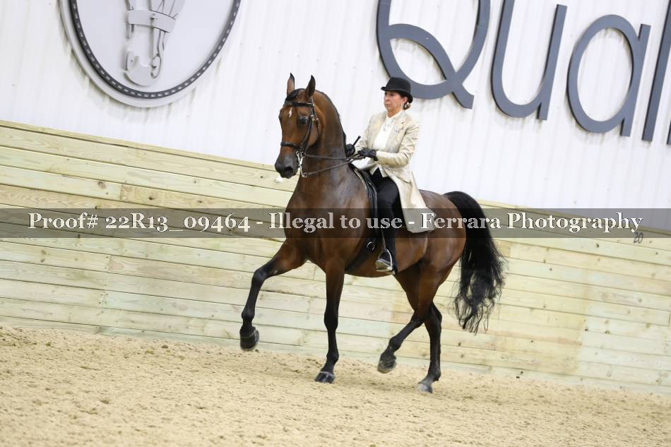 Proof 22R13_09464