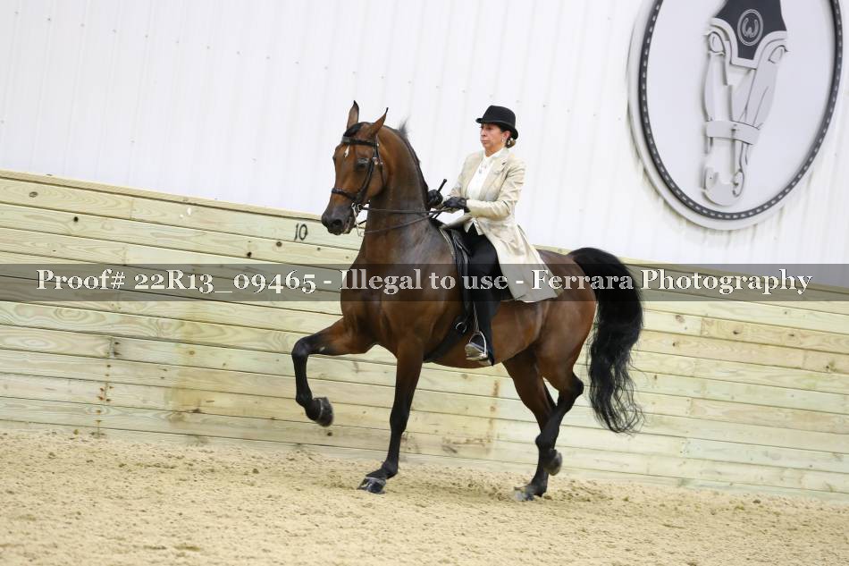 Proof 22R13_09465
