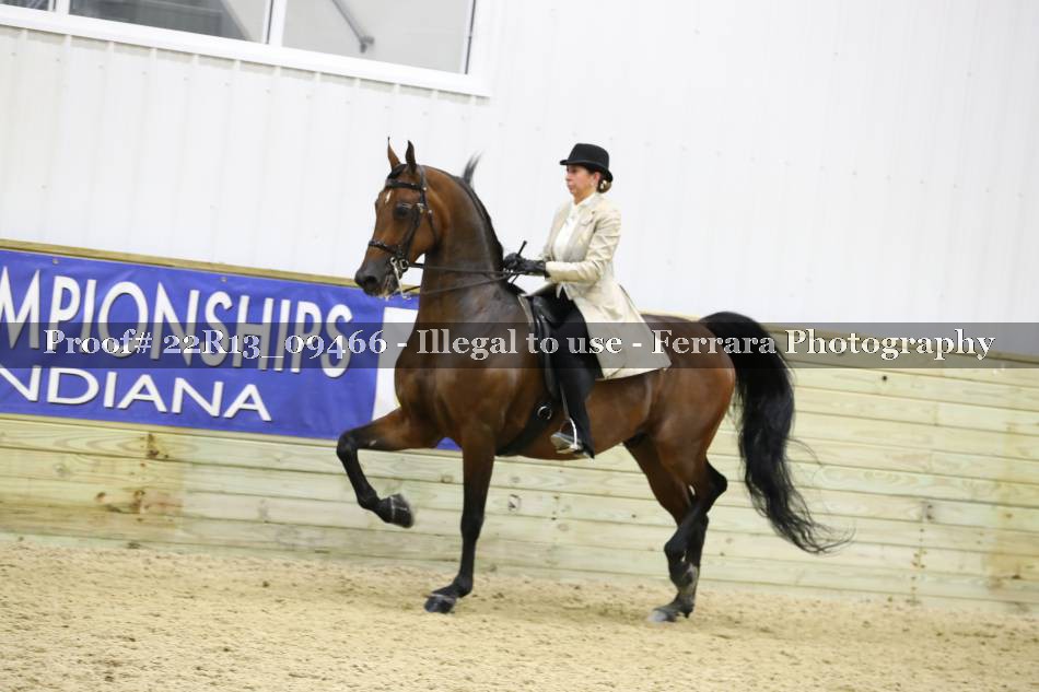 Proof 22R13_09466
