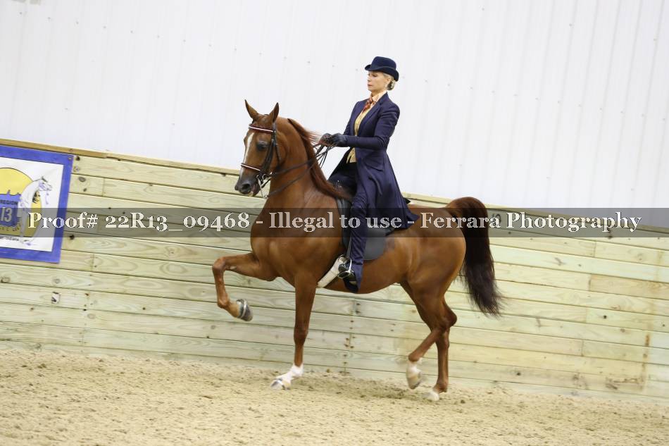 Proof 22R13_09468