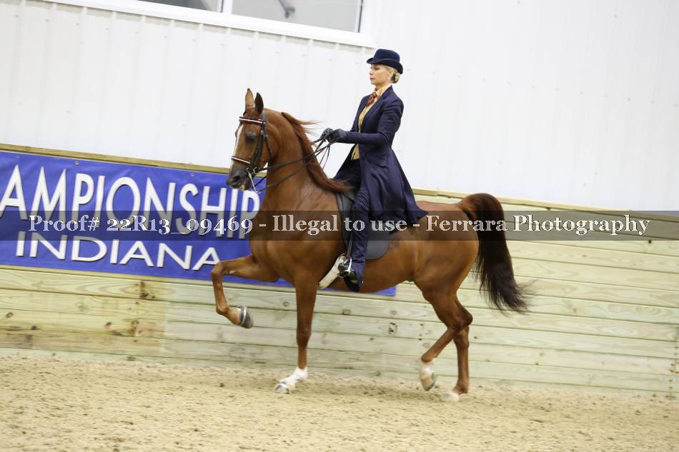 Proof 22R13_09469