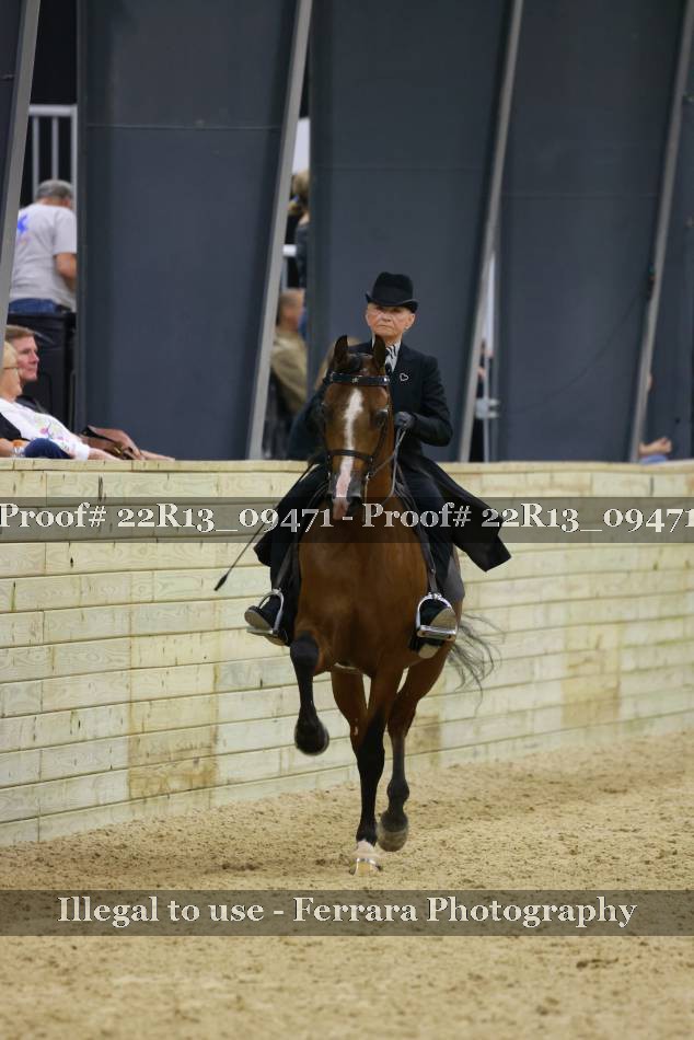 Proof 22R13_09471