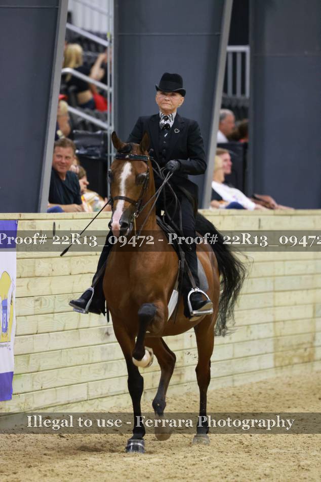 Proof 22R13_09472