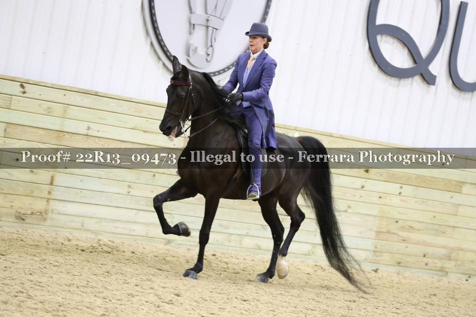 Proof 22R13_09473