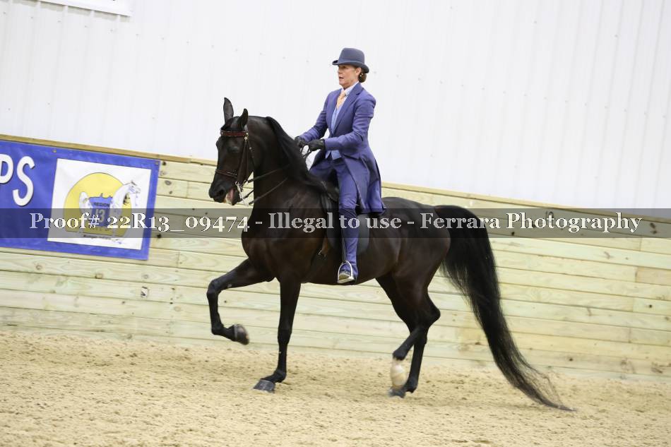 Proof 22R13_09474