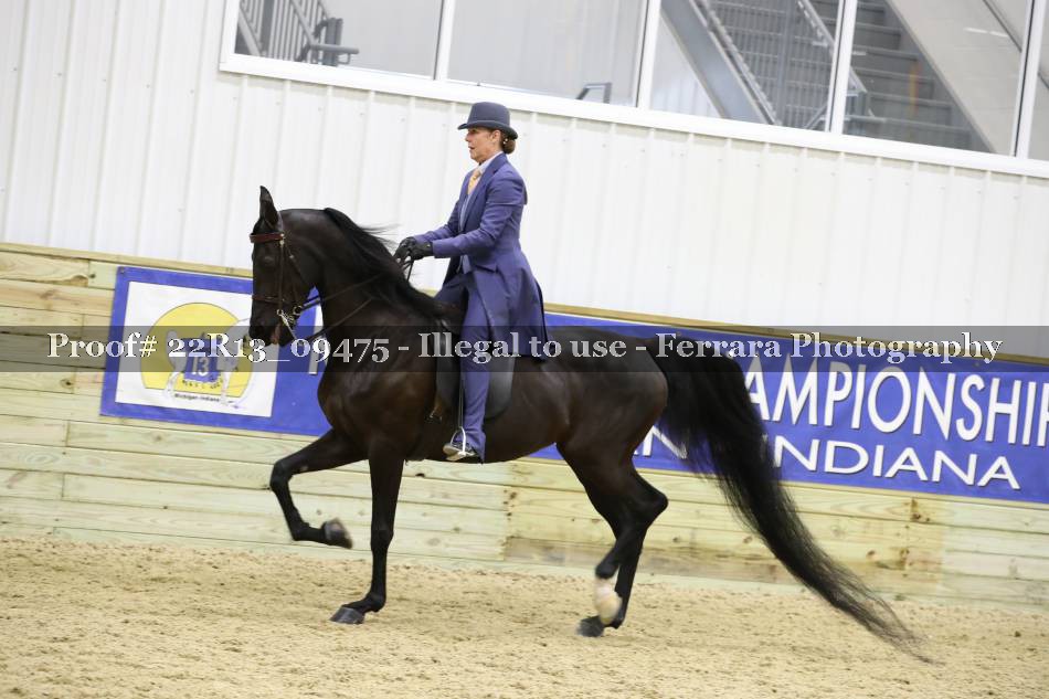 Proof 22R13_09475