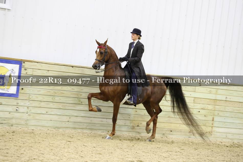 Proof 22R13_09477