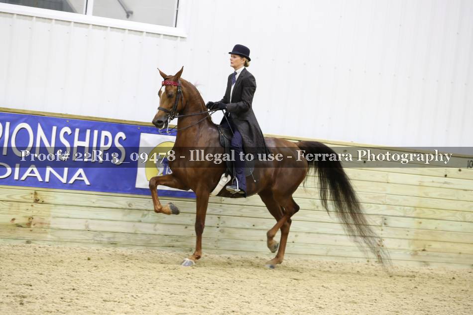 Proof 22R13_09478