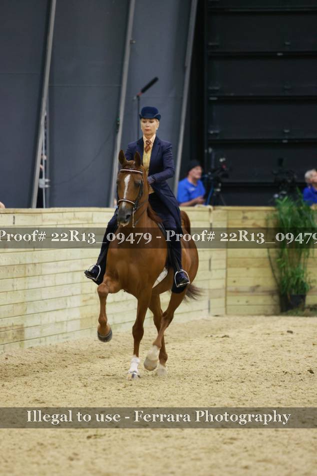 Proof 22R13_09479