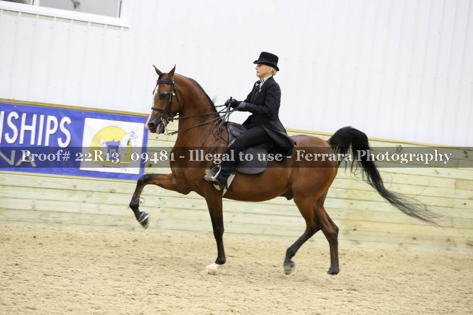 Proof 22R13_09481