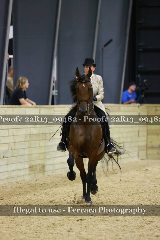 Proof 22R13_09482