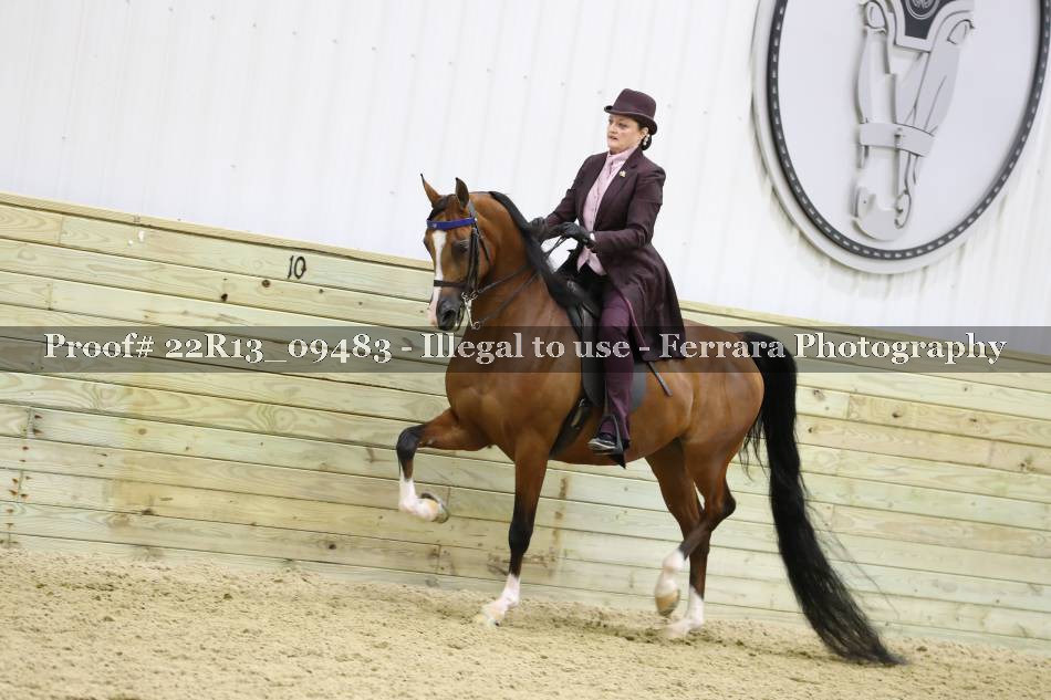 Proof 22R13_09483