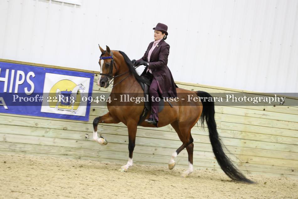 Proof 22R13_09484