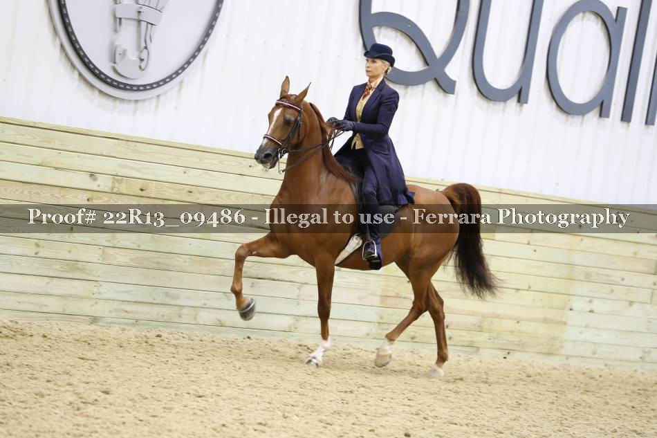 Proof 22R13_09486