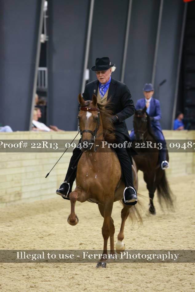 Proof 22R13_09487