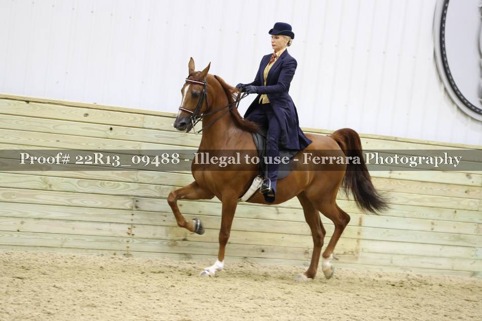 Proof 22R13_09488