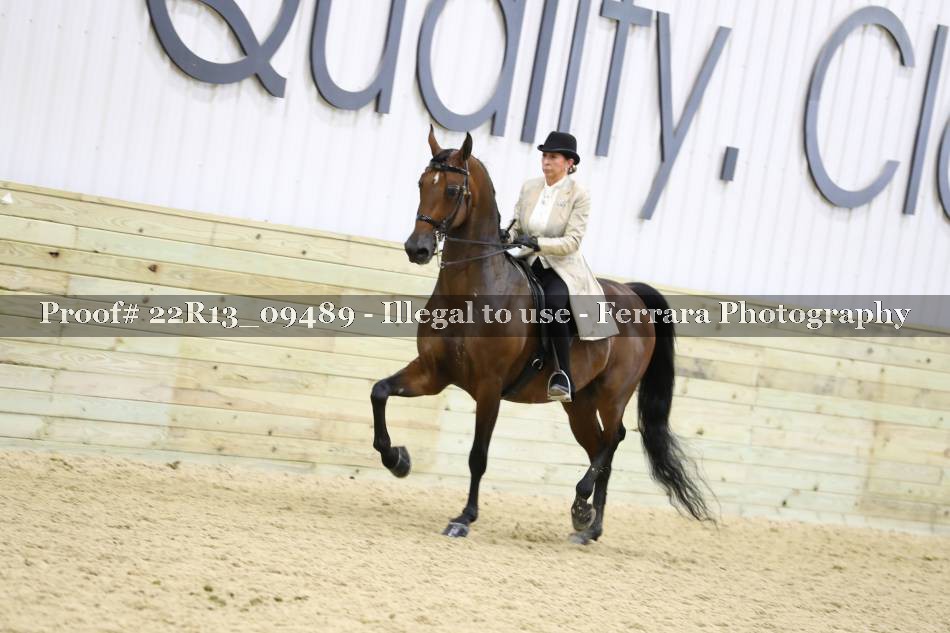 Proof 22R13_09489