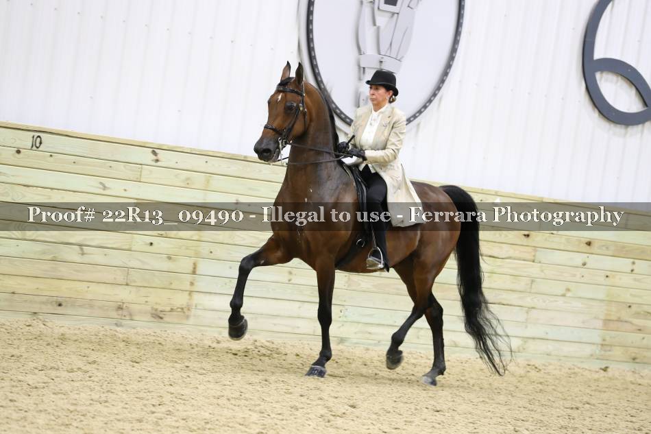 Proof 22R13_09490